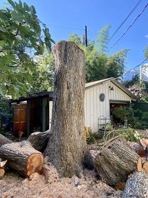 The work is done. We asked for the trunk to remain.