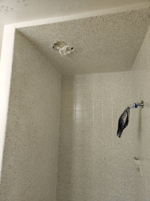 Shower surround and ceiling.