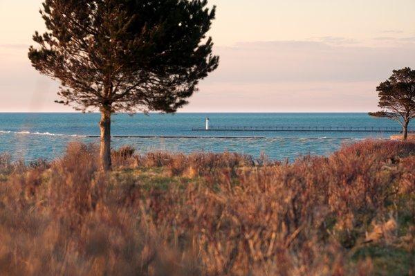 Sunset lit rough our on the course overlooking Lake Michigan at Manistee Golf & Country Club