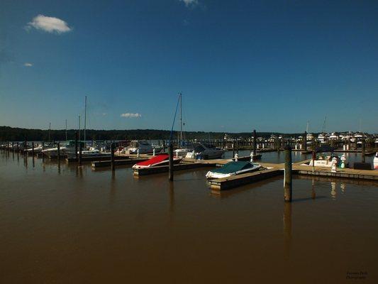 Partial waterscape within the marina area.