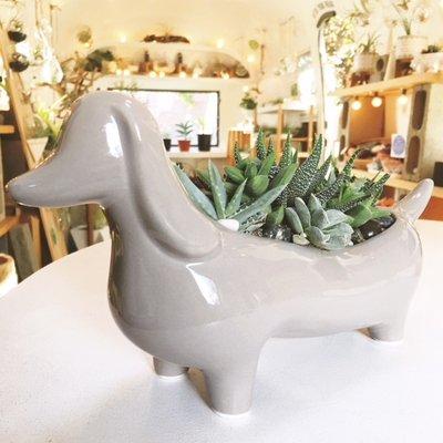 One of a kind dachshund planter