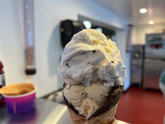 Chocolate Chip Cookie Dough and Beez Neez (honey graham crackers and chocolate chip with vanilla base)