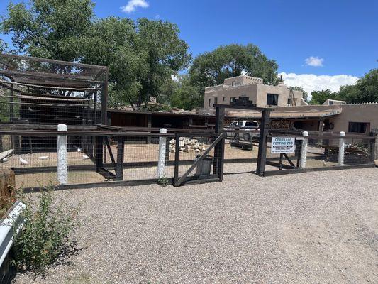 Casa Grande Trading Post, Cerrillos, New Mexico, June 4, 2023 - Petting Zoo with llama and goats