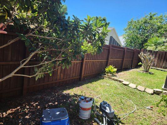 New Backyard Fence installation