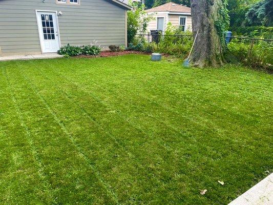 Picture Perfect Lawn Maintenance !