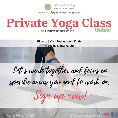 Private Yoga Class (Online class)