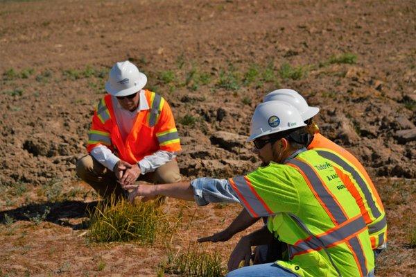 Biological Survey - Fresno County with Dudek