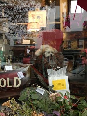 How much is that doggie in the window?