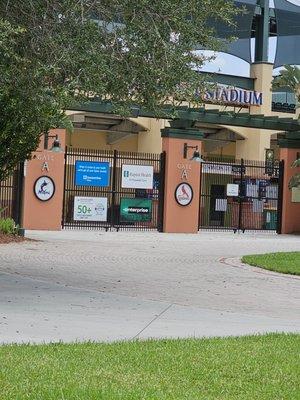 Spring Training Baseball