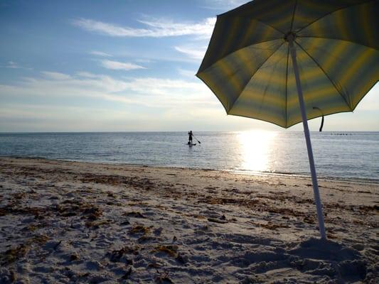 Many days the Gulf is calm enough for even beginners to successfully stand up paddle board!