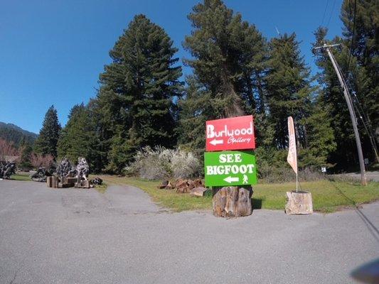 Storefront Signs from the Avenue of the Giants