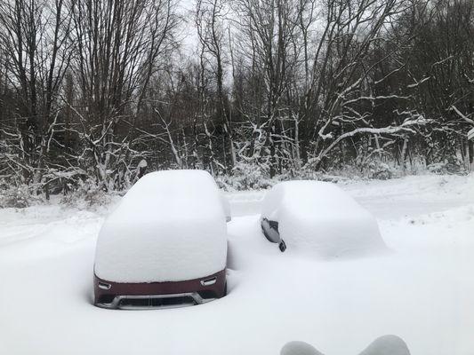 Went to go out to the park a block away, couldn't received 27.6ins of snow