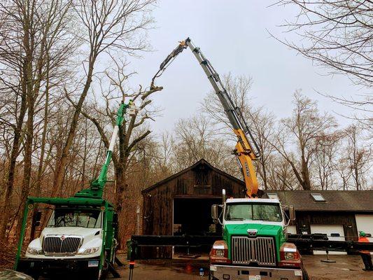 Crane Assisted Removal