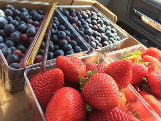 Freshly picked sweet strawberries and blueberries.