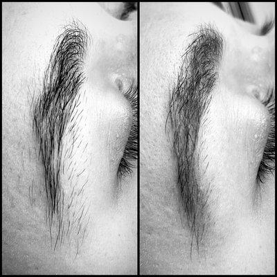 Getting this client back to fuller natural eyebrows!