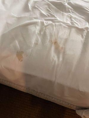 You can't put new sheets on in 3 weeks?