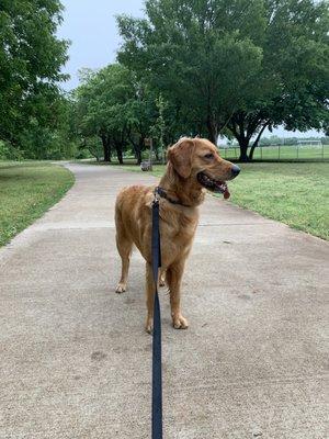 Pet friendly walking trails