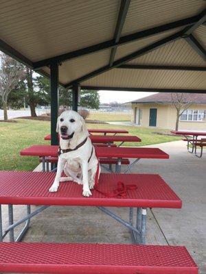 Covered picnic area