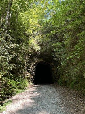 Stumphouse Tunnel