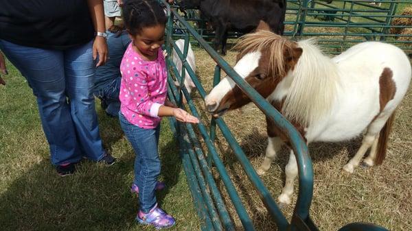 Doesn't get much cuter than this at the Waxhaw Autumn Festival.