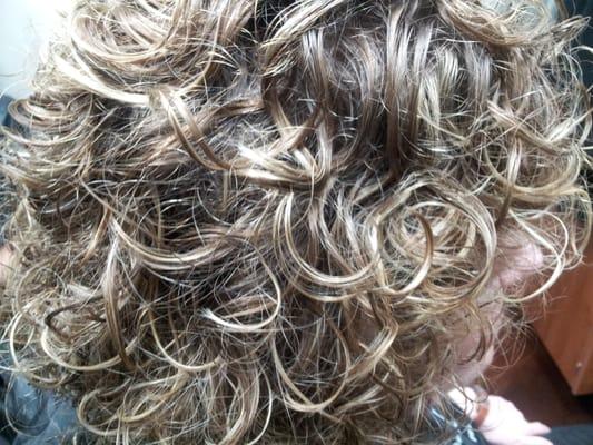 Highlights on Naturally Curly Hair