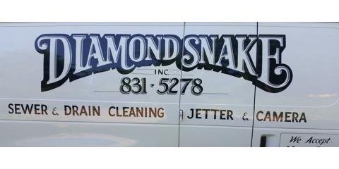 Diamond Snake