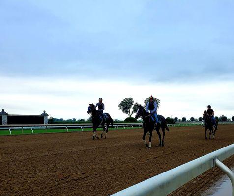 Training at Keeneland