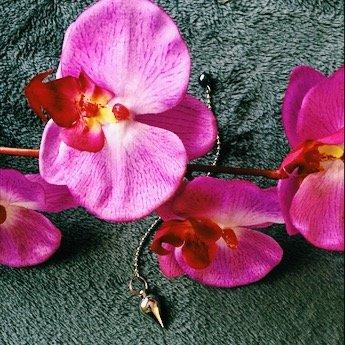 Pendulum with orchid. Experience the power of the pendulum with an Energy Reading.