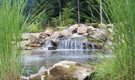 A view to the large pond and waterfall we constructed and won an award for.