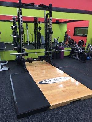 Great Hammer Strength equipment and Life Fitness equipment!