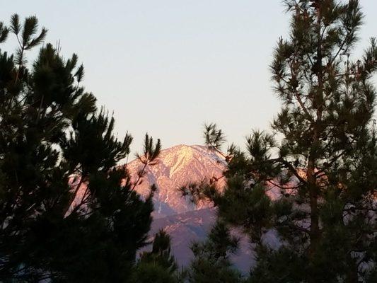 View from the patio