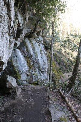 Scenes from the trail (hiking to the falls)