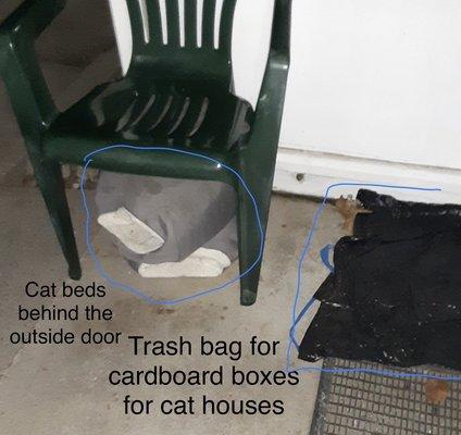 Cloth cat beds outside the front door