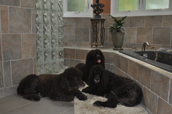 Kids waiting for a shower after returning from Creature Comfort Inn.