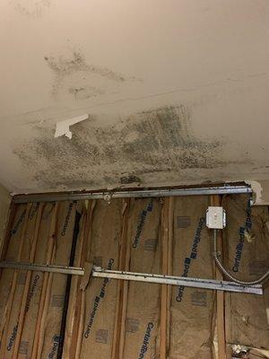 Water damage and now mold in stairwell of Villa Piana.