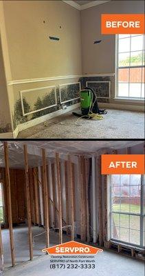 Mold mitigation and remediation services