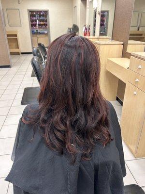 Auburn color and highlights