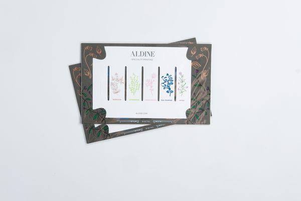 Aldine Printing: Techniques card