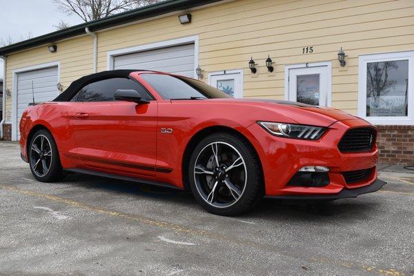 Paint Correction to perfect the paint before protecting this Mustang with a 3 Year Ceramic Coating (5/18/24)