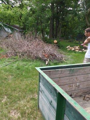 Tree branch removal