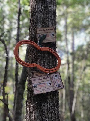 Horse trail decor