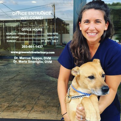 Dr. Maria Smeriglio is a Greenwich native and a talented, cheery addition to GVC! Her dog Alfred is a St. Kitts native & domesticated dingo.