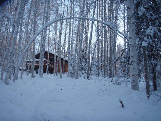 End your snowshoe adventure with a cup of locally foraged herbal tea or hot cocoa in our cozy cabin