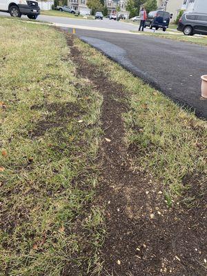 The side of the yard in the front of the house.