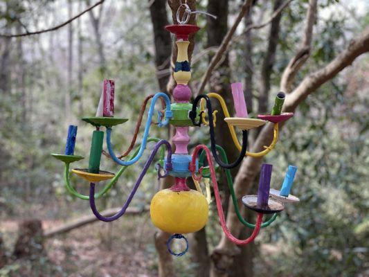 a unique, colorful area on the trail