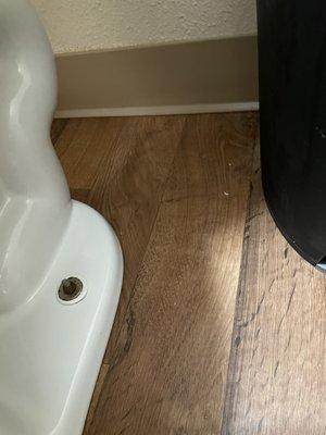 Bathroom floor not swept, mopped or sanitized? Toilet bottoms not clean