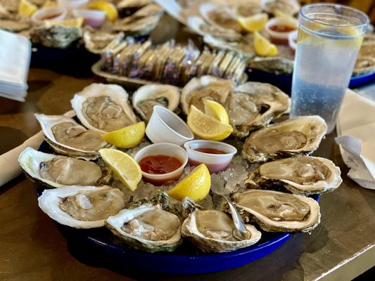 Oysters half shell