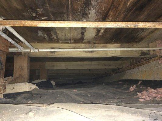 Crawl space inspection is part of my Full Home Inspection.