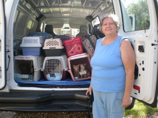 Helping transport kittens taken from the county shelter to a rescue group in Maryland