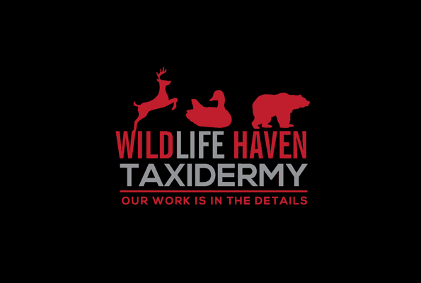 Wildlife Haven Taxidermy